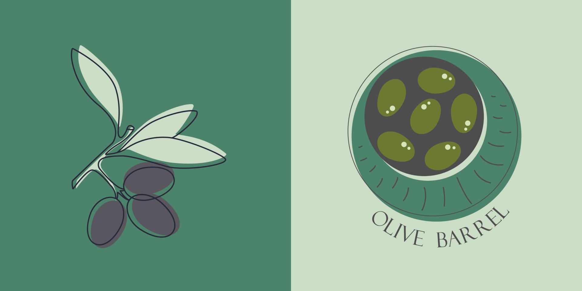 Plant an olive tree. Vector illustration of fruit for cosmetics, medicine and cooking