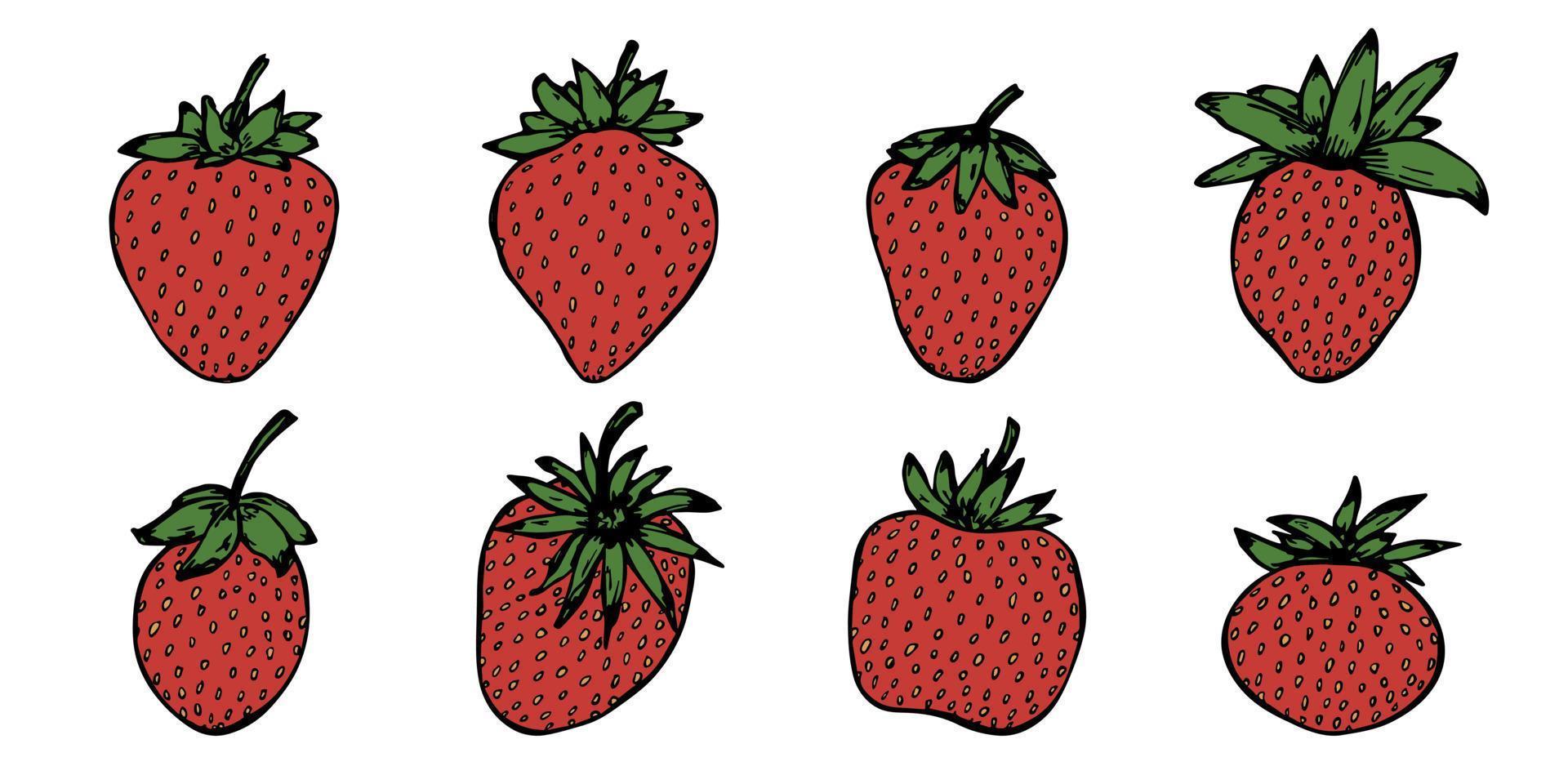 conjunto de vectores de imágenes prediseñadas de fresa. icono de baya dibujado a mano. ilustración de frutas para impresión, web, diseño, decoración, logotipo.