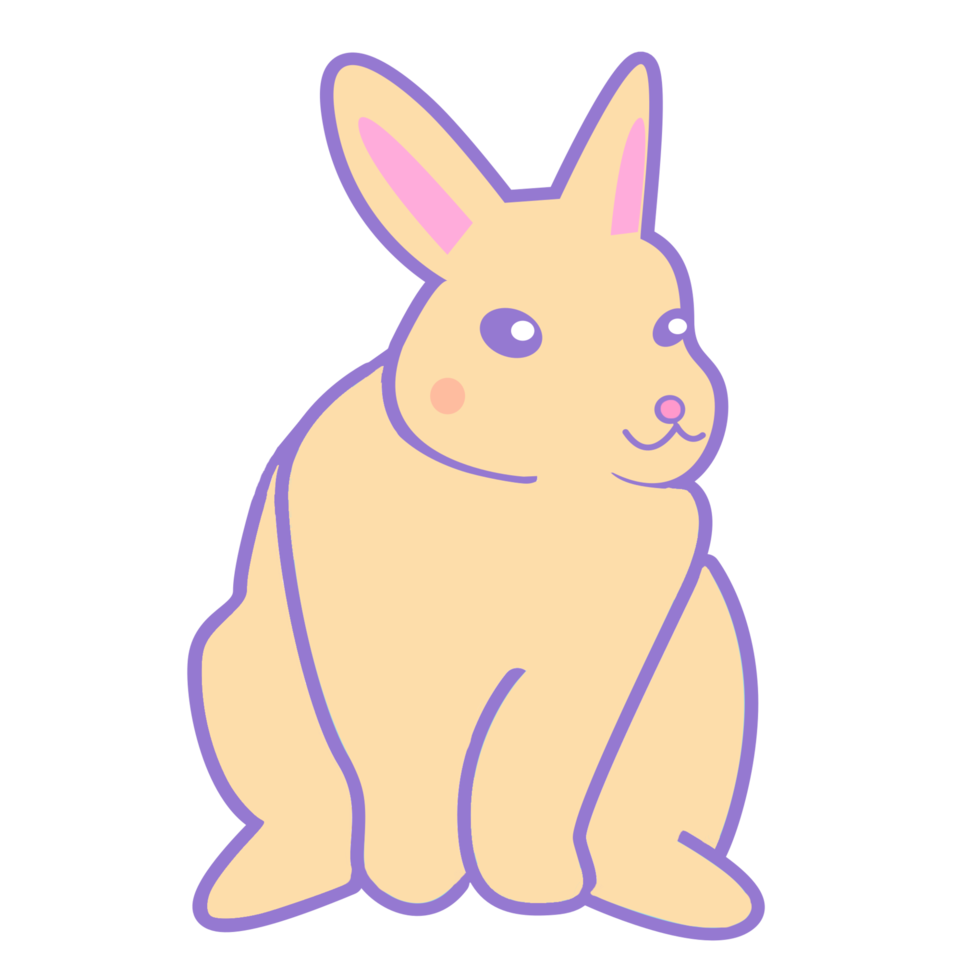 cute rabbit bunny png