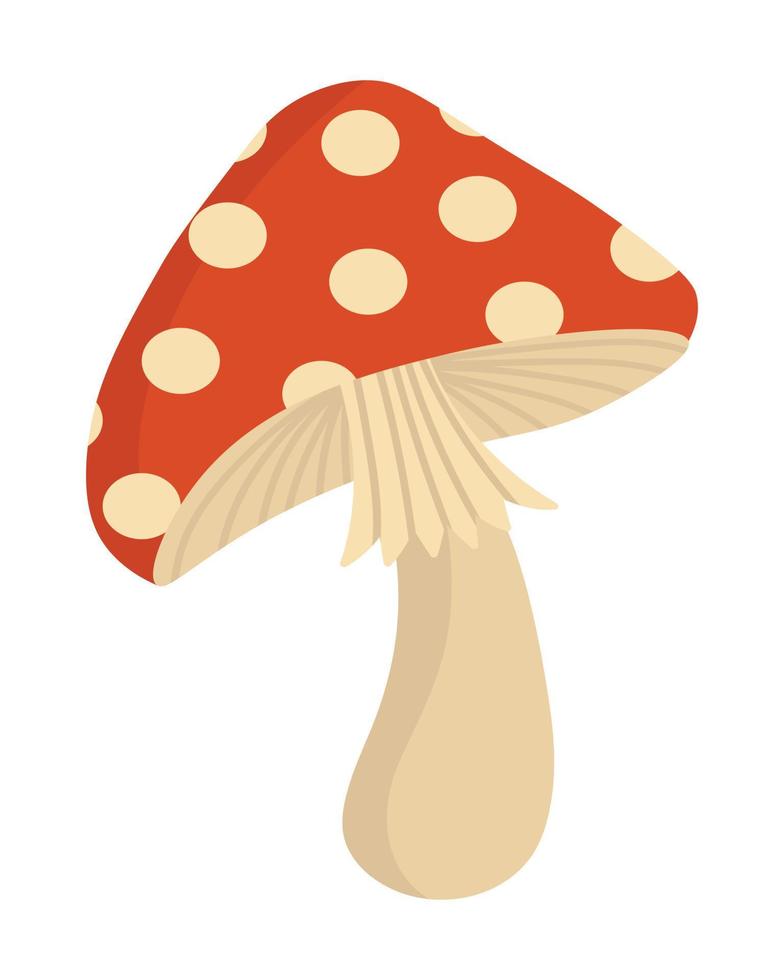 Doodle flat clipart. Colored mushroom. All objects are repainted. vector