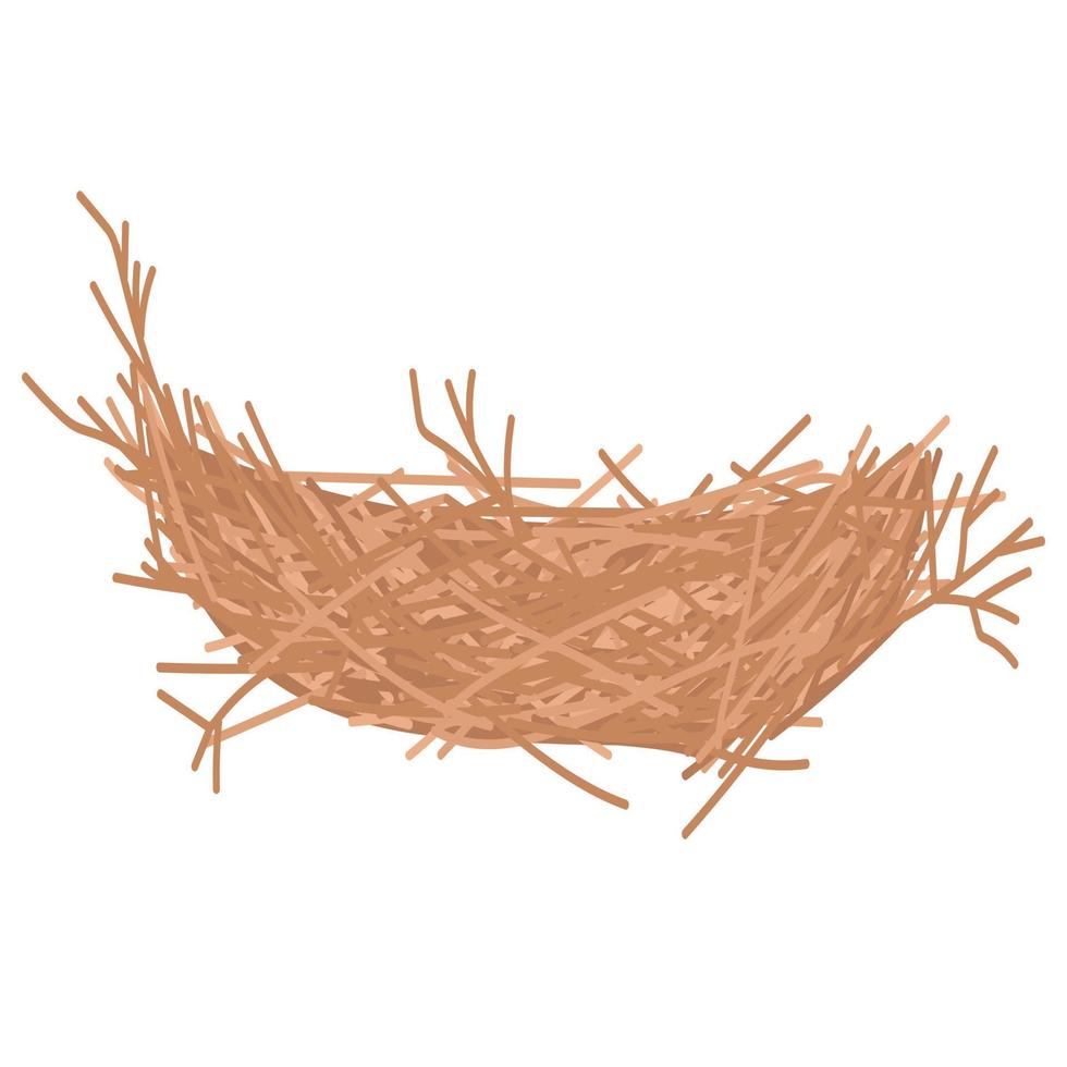 doodle flat clipart bird nest vector