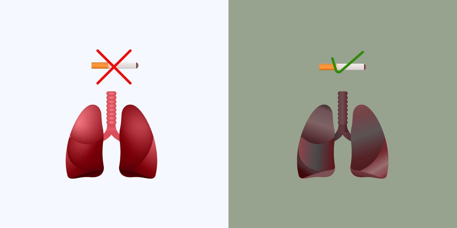 vector illustration for world no tobacco day, cancer, lung, respiratory health, no smoking, no smoking, no smoking area, illness due to smoking