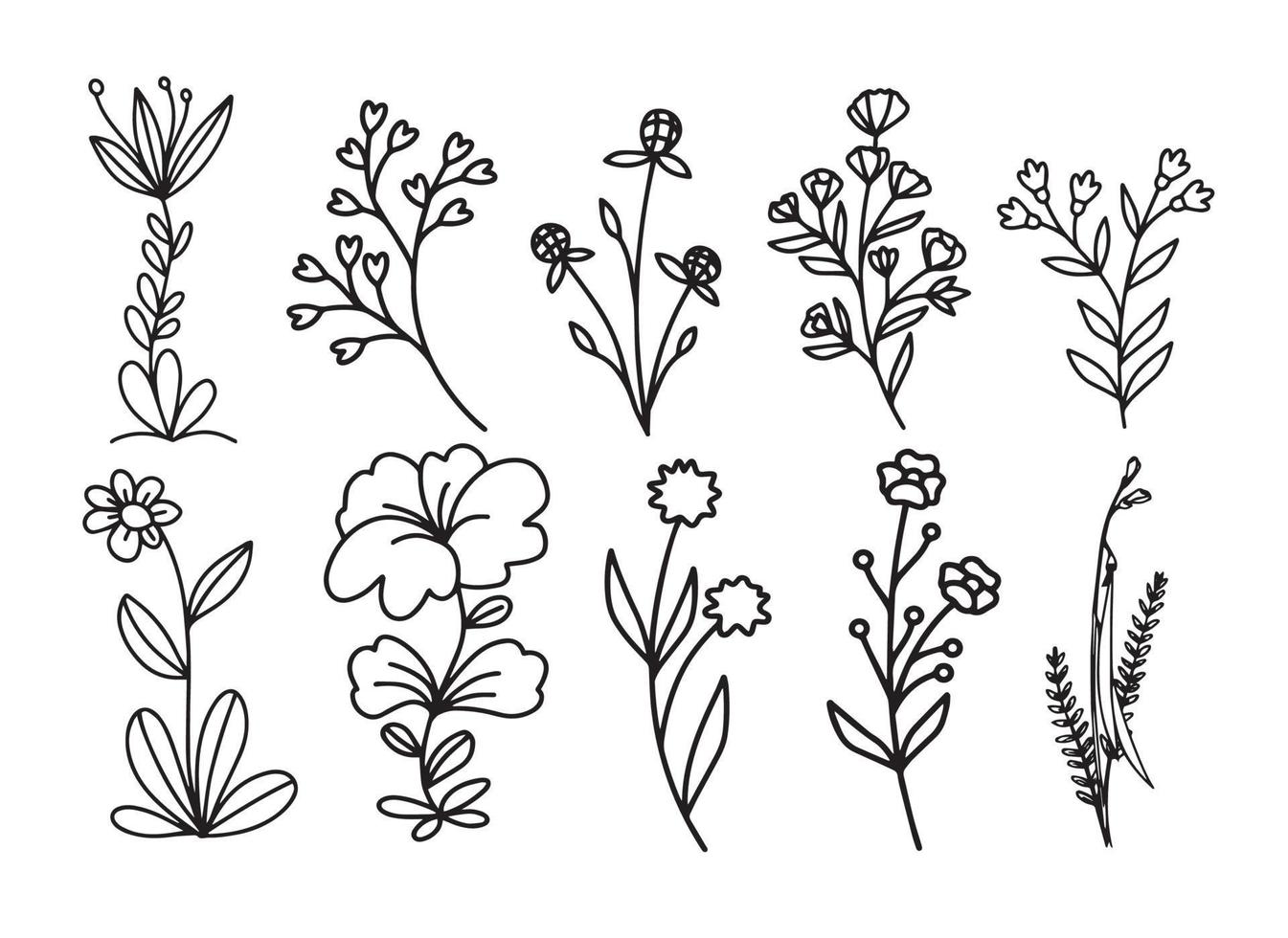 Vector set outline sketch sketch drawing flowers illustration sketch perfect for decorating wedding invitations greeting cards designer fabric textures