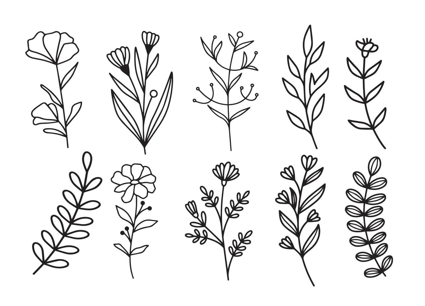 conjunto de vectores de boceto de línea de arte boceto línea hierbas flores plantas hojas gráficos en blanco y negro