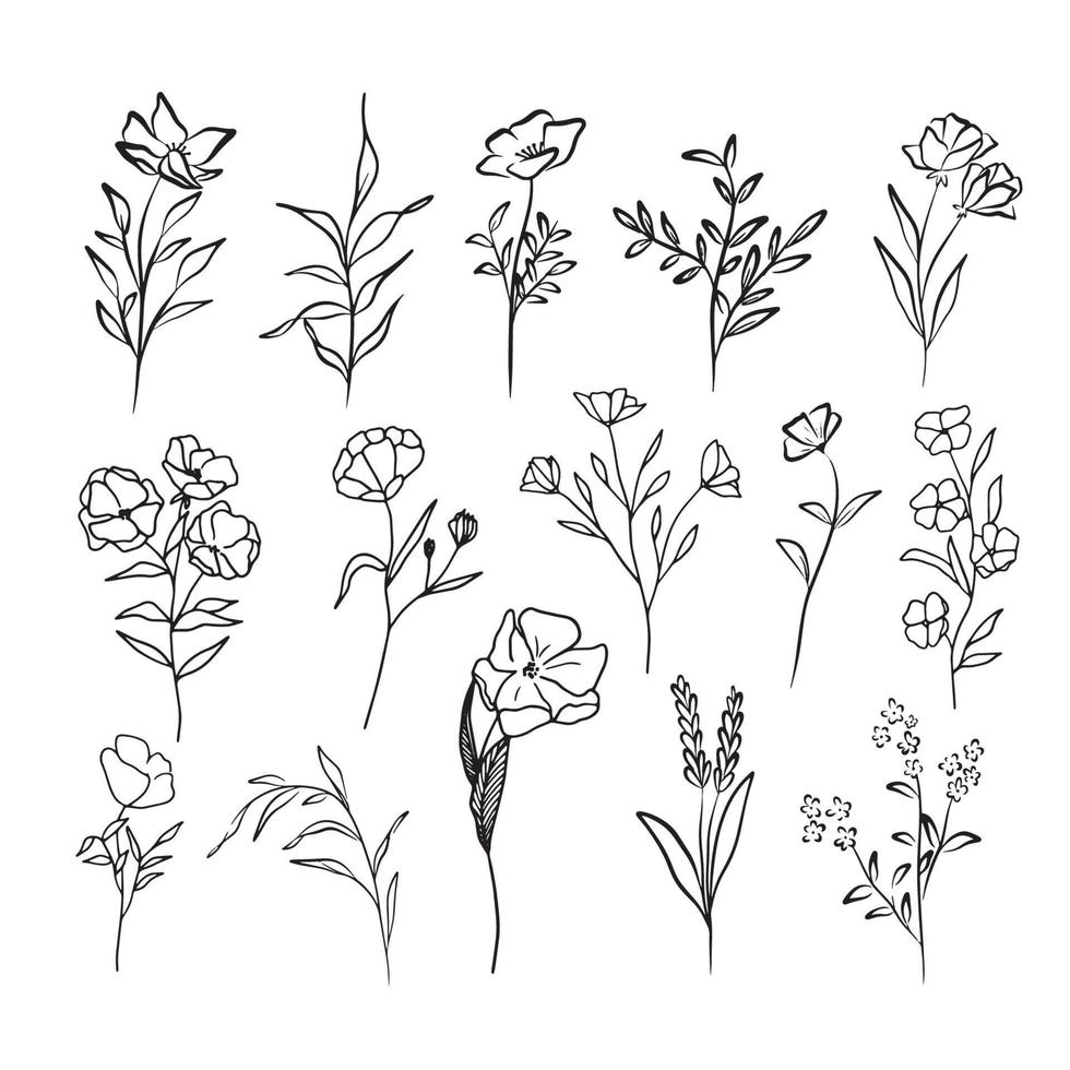 contorno flores colección gráficos vectoriales flores dibujo boceto contorno floral botánica colección dibujos de flores en blanco y negro con arte lineal aislado sobre fondo blanco vector