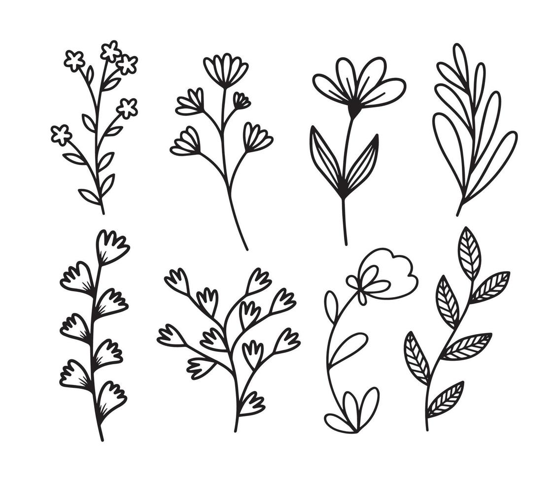 Vector set of different flowers bouquets from leaves, branches Vector sketch illustration perfect for decorating wedding invitations greeting cards design fabric textures