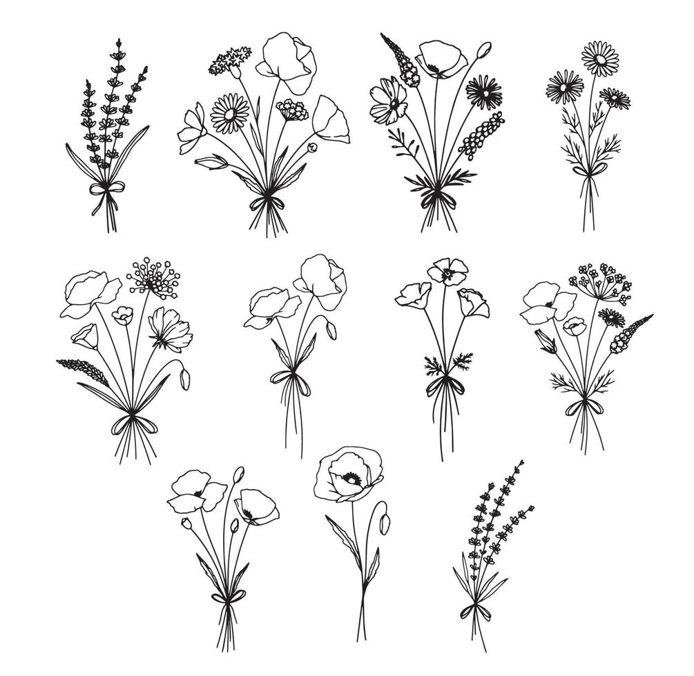 Vector collection set of hand drawn flowers and herbs illustration of botanical plants sketch set of ink hand drawn medicinal herbs and plants sketch