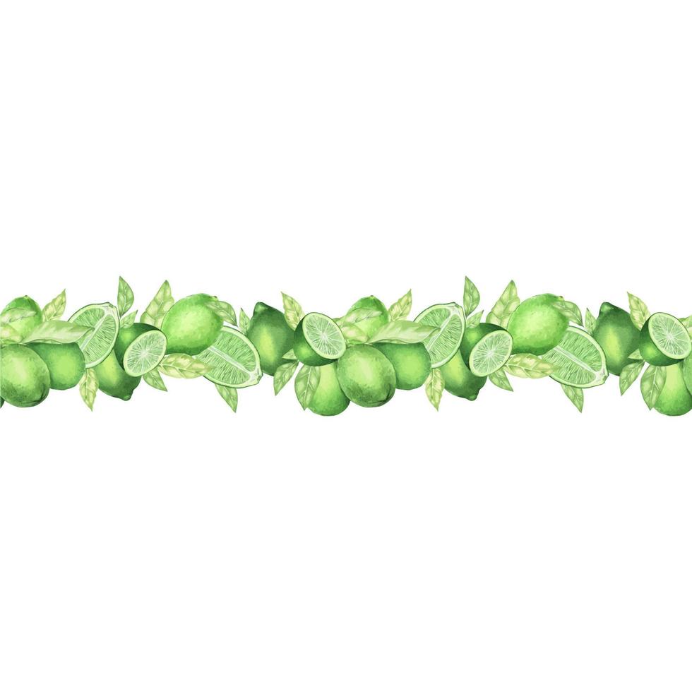 Watercolor seamless border made of limes, slice of lime, branches and leaves. Hand drawn vignette for cards, invitations, cosmetics or food label design concept, with text space vector