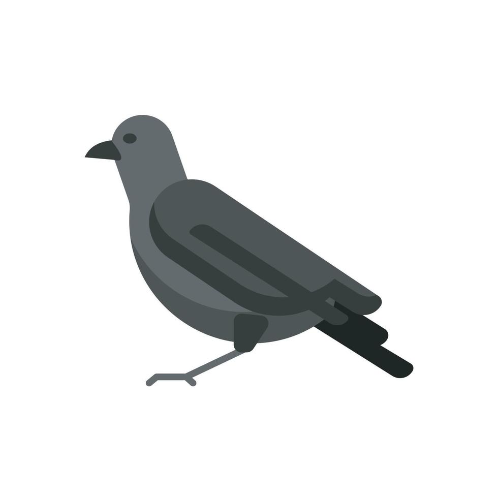 icono de cuervo plano, icono de animal de pájaro. vector de diseño de icono plano