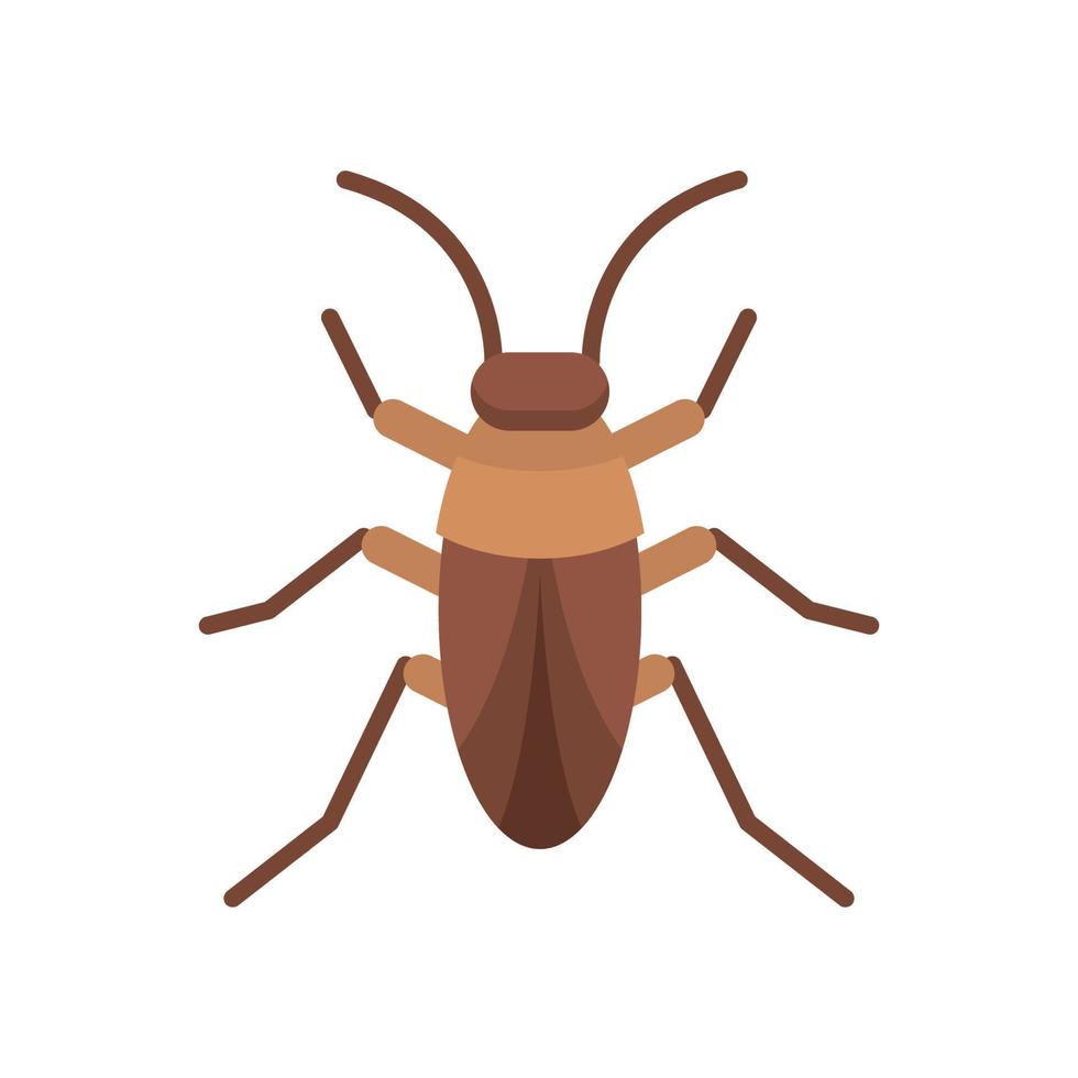 icono de cucaracha, ilustración de vector de icono plano aislado sobre fondo blanco. por el tema de animales, insectos y otros