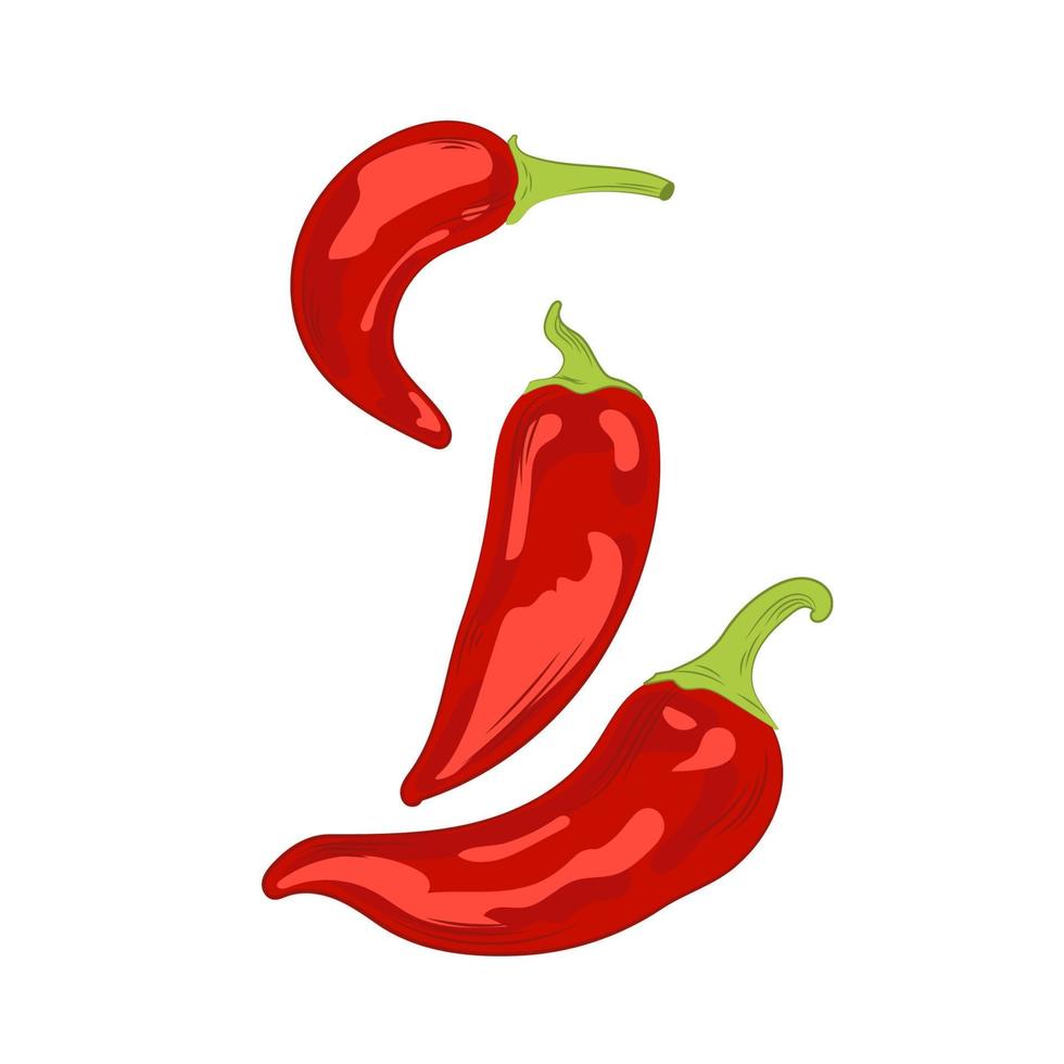Seamless pattern with red hot chile peppers on blue background. Vector illustration of chili peppers.