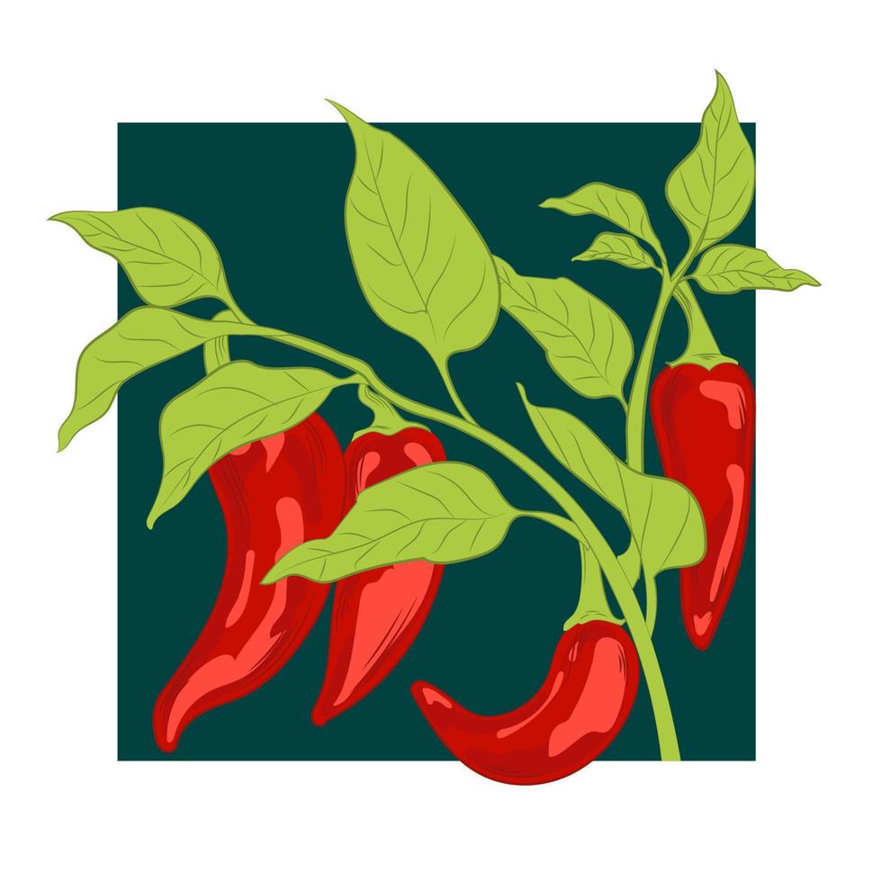 Seamless pattern with red hot chile peppers on blue background. Vector illustration of chili peppers.