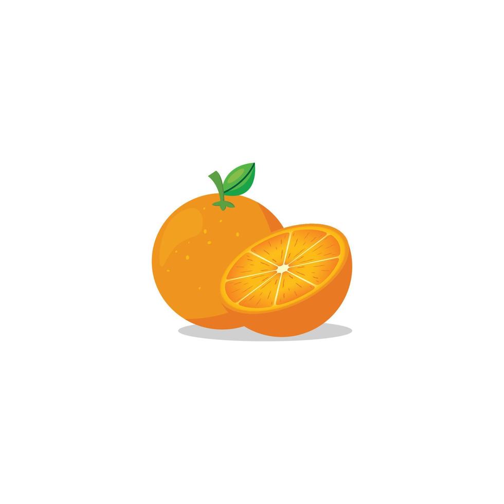 ilustración vectorial naranja vector