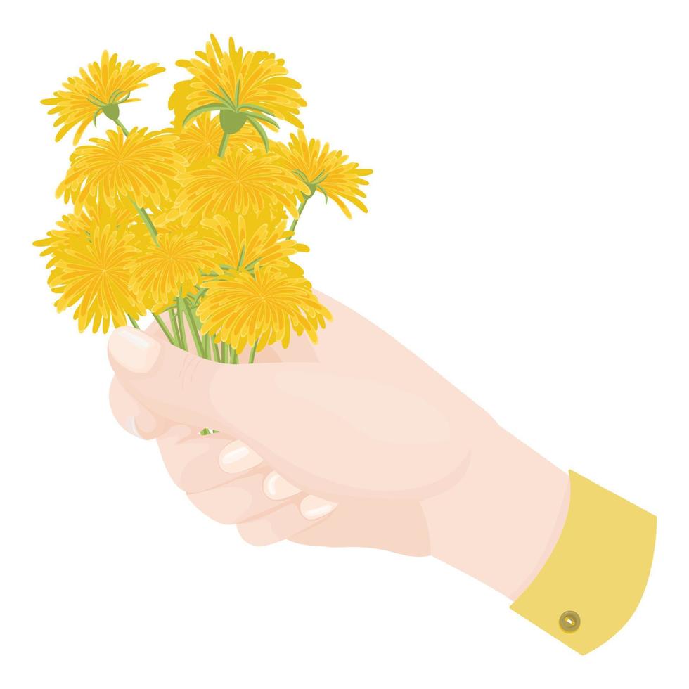 Hand with a bouquet of dandelions vector