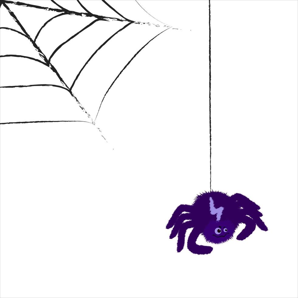 Cartoon spider and spider web vector