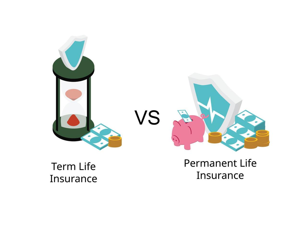 term life insurance for specific period and permanent life insurance for your entire lifetime vector