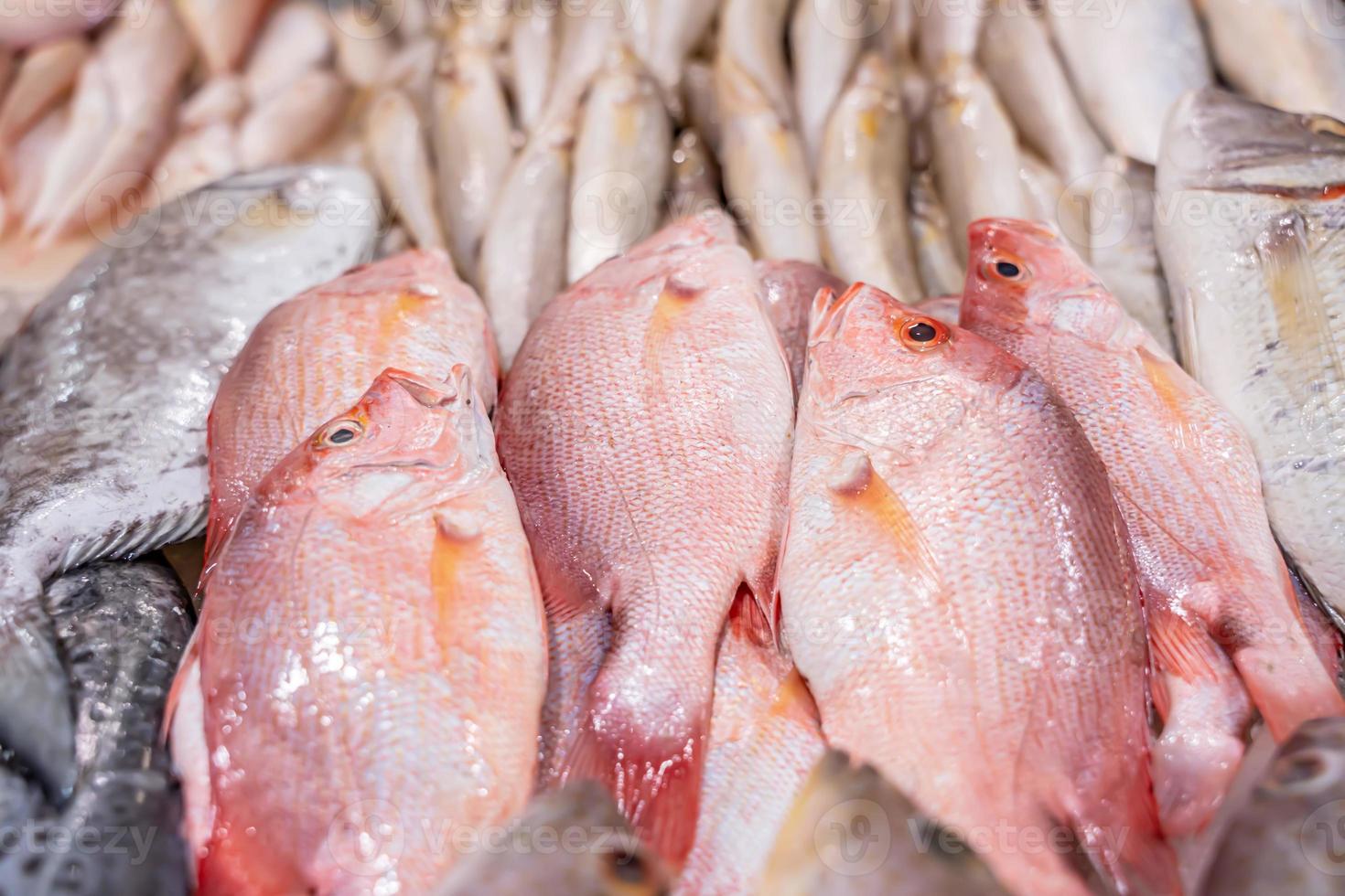 pescado fresco en el mercado sobre hielo foto