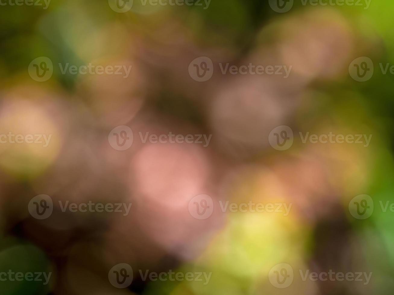 Abstract colorful background from a unfocused photography of natural environments taken in the Andean mountains of central Colombia. photo