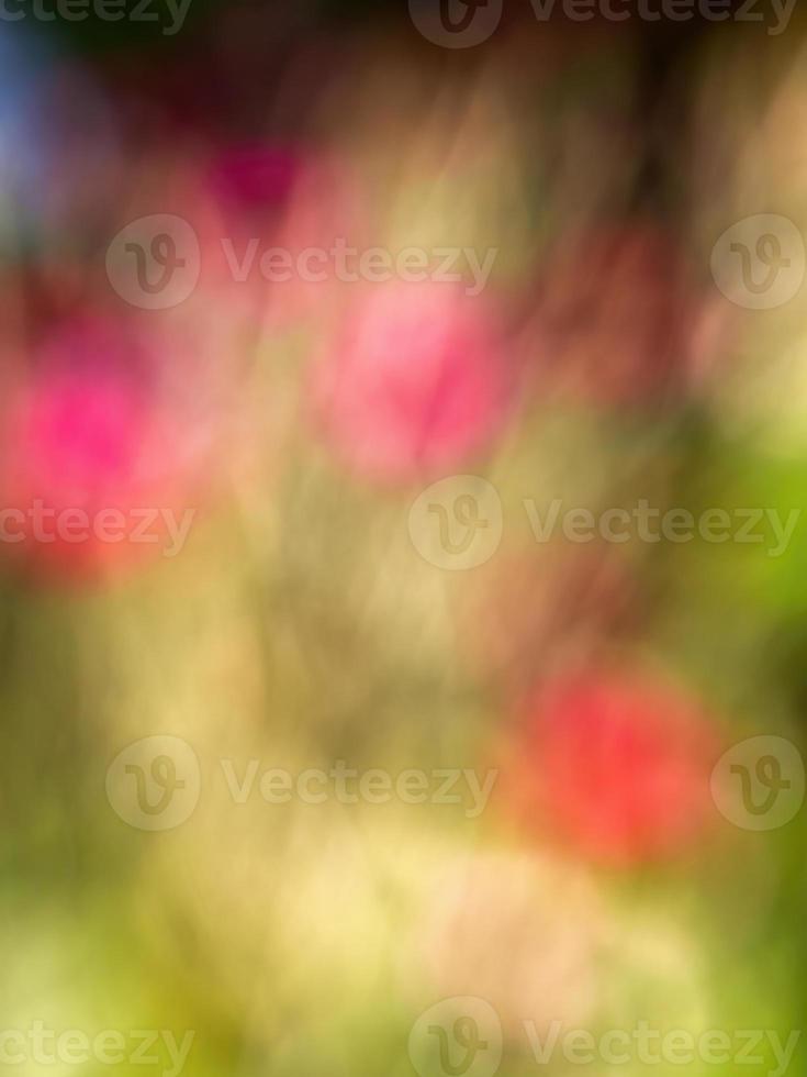 Abstract colorful background from a unfocused photography of natural environments taken in the Andean mountains of central Colombia. photo