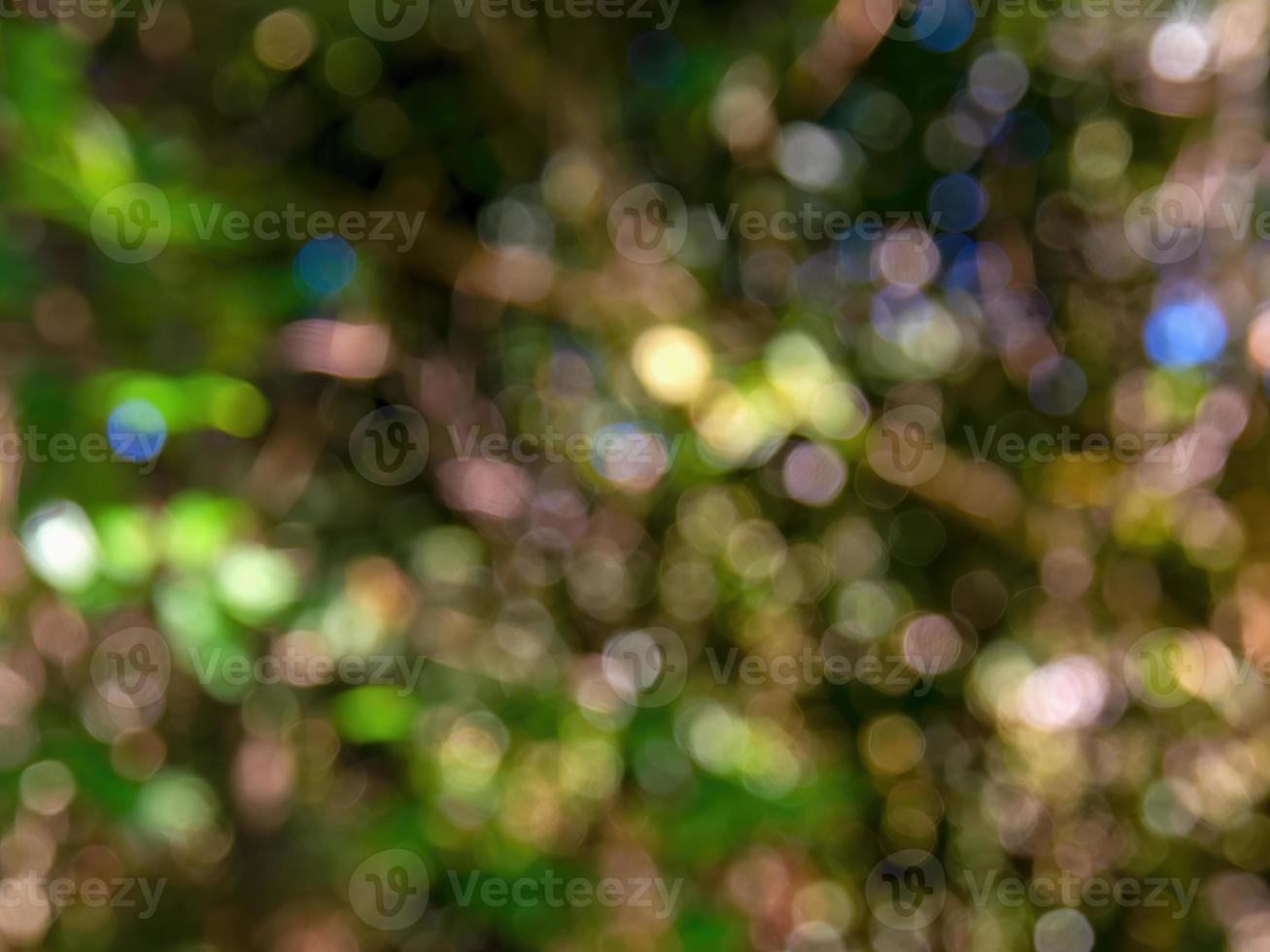 Abstract colorful background from a unfocused photography of natural environments taken in the Andean mountains of central Colombia. photo