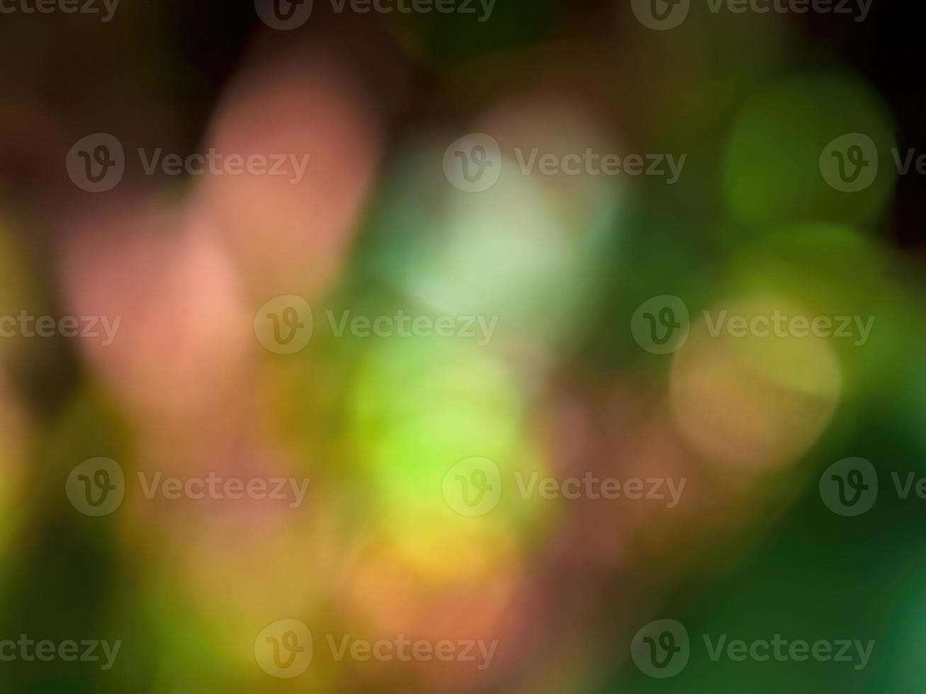 Abstract colorful background from a unfocused photography of natural environments taken in the Andean mountains of central Colombia. photo