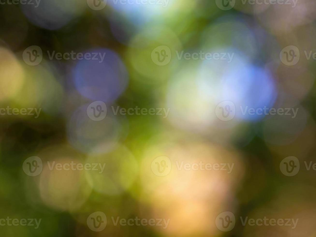 Abstract colorful background from a unfocused photography of natural environments taken in the Andean mountains of central Colombia. photo