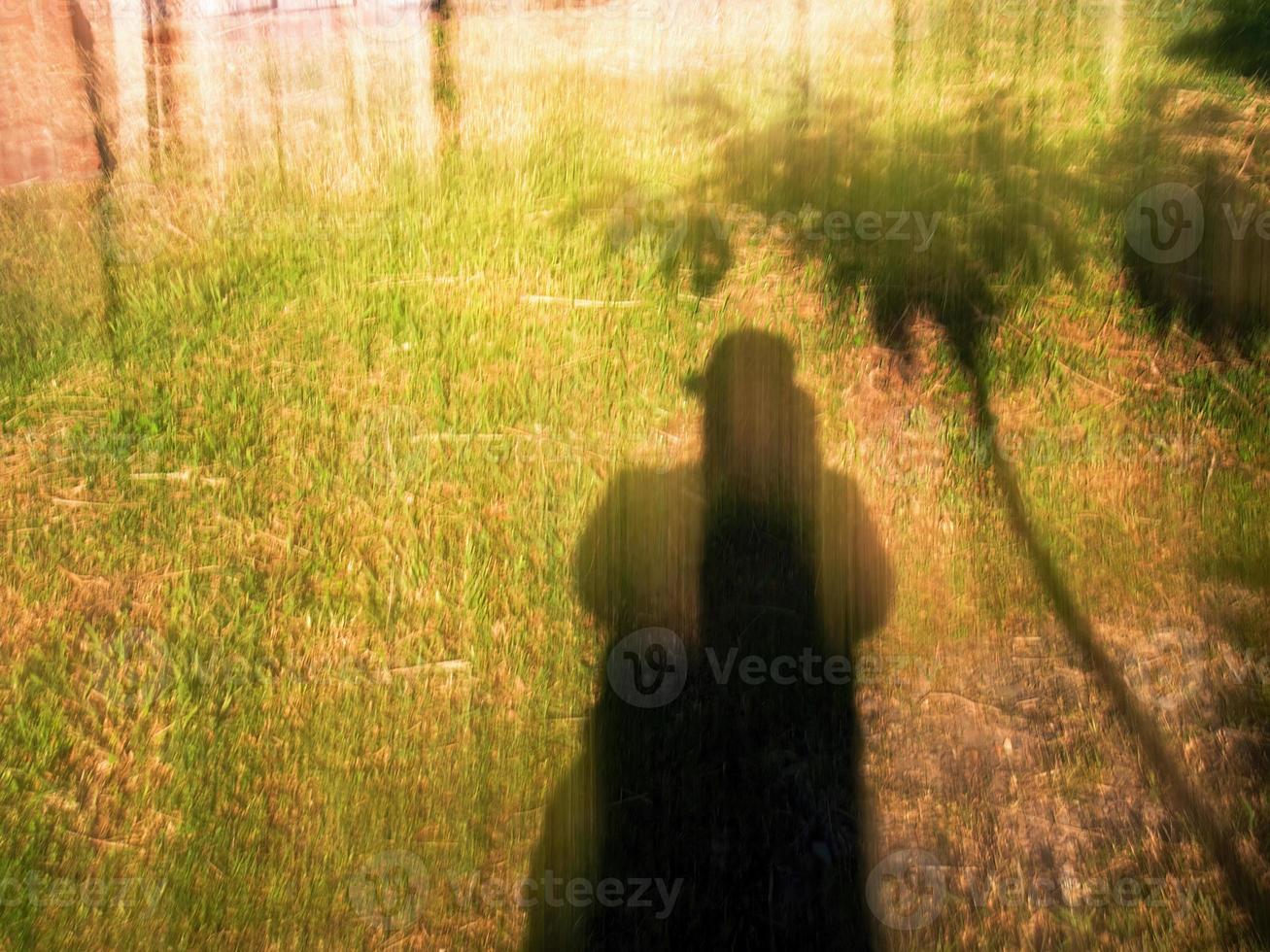 Intentional camera movement of some flowers in a garden near the colonial town of Villa de Leyva in central Colombia. photo