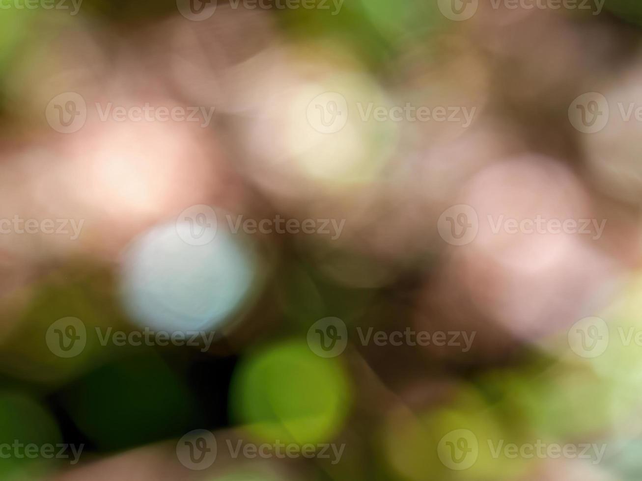 Abstract colorful background from a unfocused photography of natural environments taken in the Andean mountains of central Colombia. photo