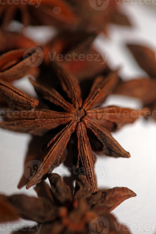 fruta marrón primer plano fondo botánico illicium verum familia schisandraceae anís estrellado con semillas impresión de gran tamaño de alta calidad foto