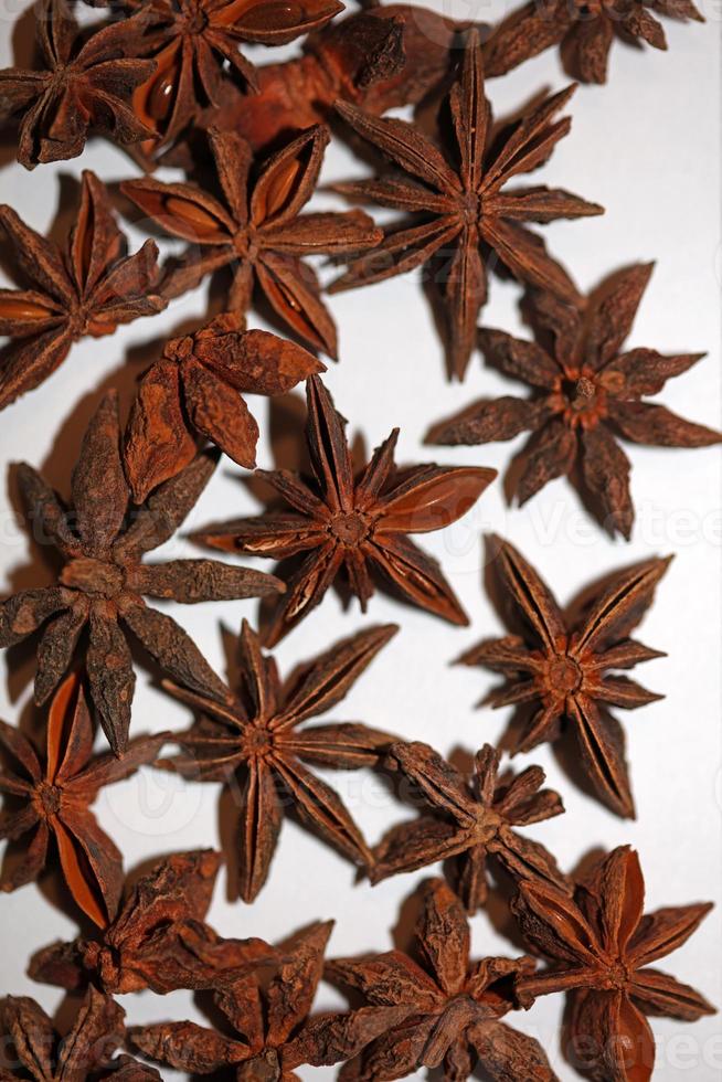 fruta marrón primer plano fondo botánico illicium verum familia schisandraceae anís estrellado con semillas impresión de gran tamaño de alta calidad foto