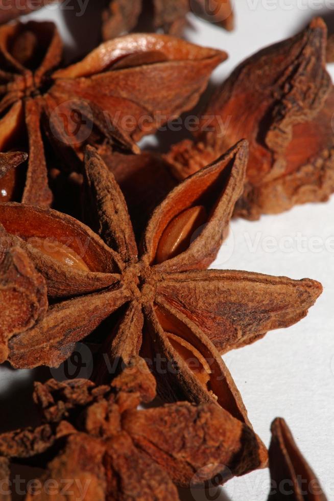 fruta marrón primer plano fondo botánico illicium verum familia schisandraceae anís estrellado con semillas impresión de gran tamaño de alta calidad foto