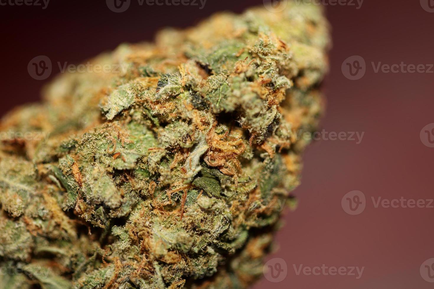 https://static.vecteezy.com/system/resources/previews/018/770/816/non_2x/macro-close-up-of-medical-marijuana-buds-cannabis-ready-for-smoke-concepts-of-herbal-and-alternative-medicine-high-quality-big-size-background-botanical-prints-photo.jpg