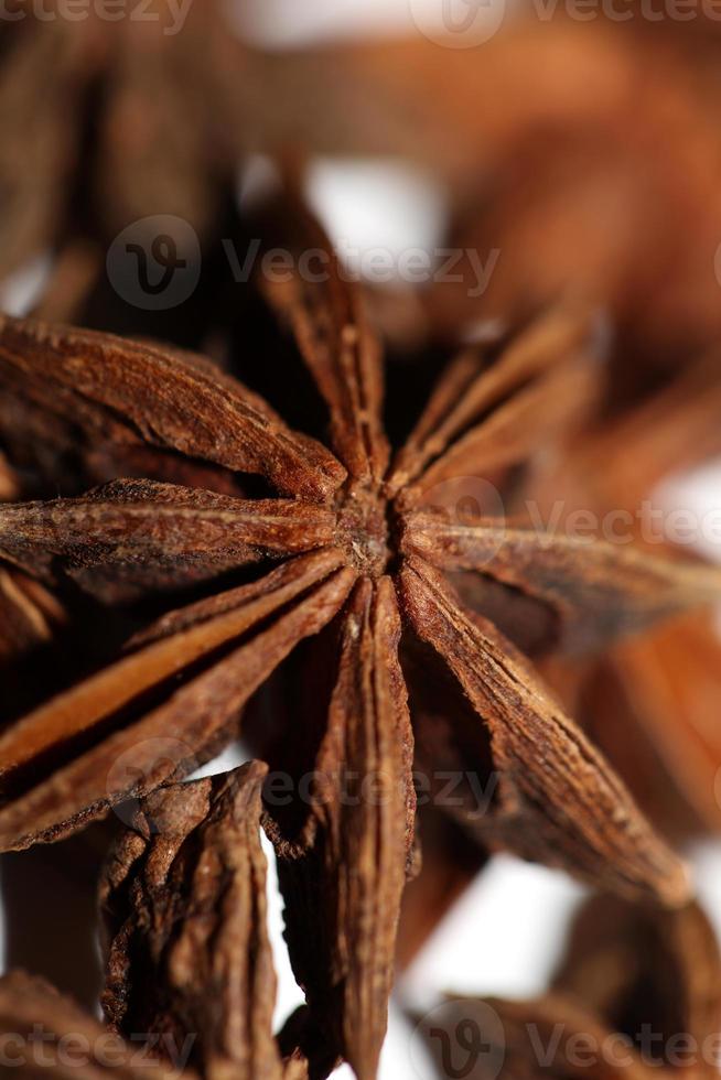 fruta marrón primer plano fondo botánico illicium verum familia schisandraceae anís estrellado con semillas impresión de gran tamaño de alta calidad foto