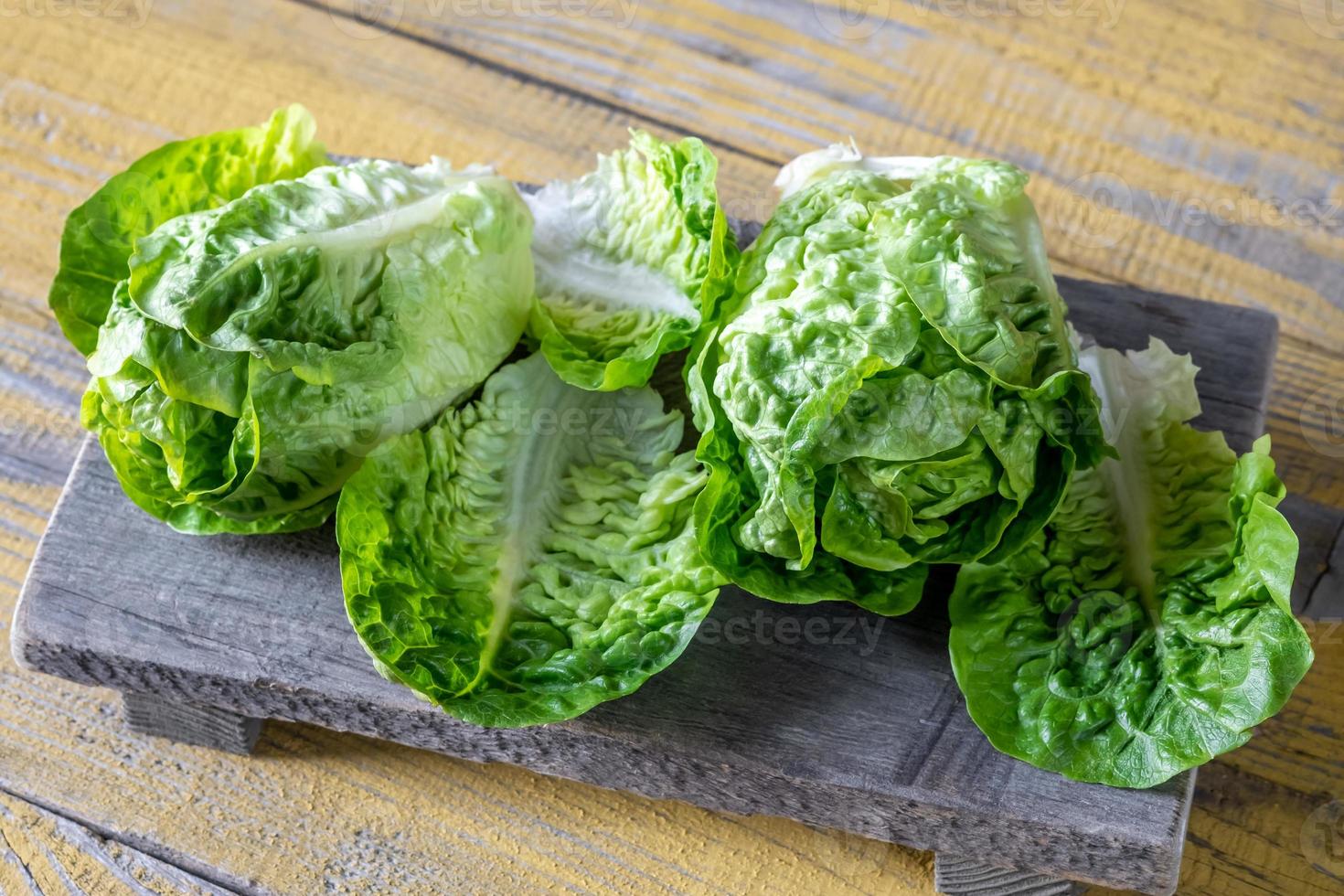 Heads of Romaine lettuce photo