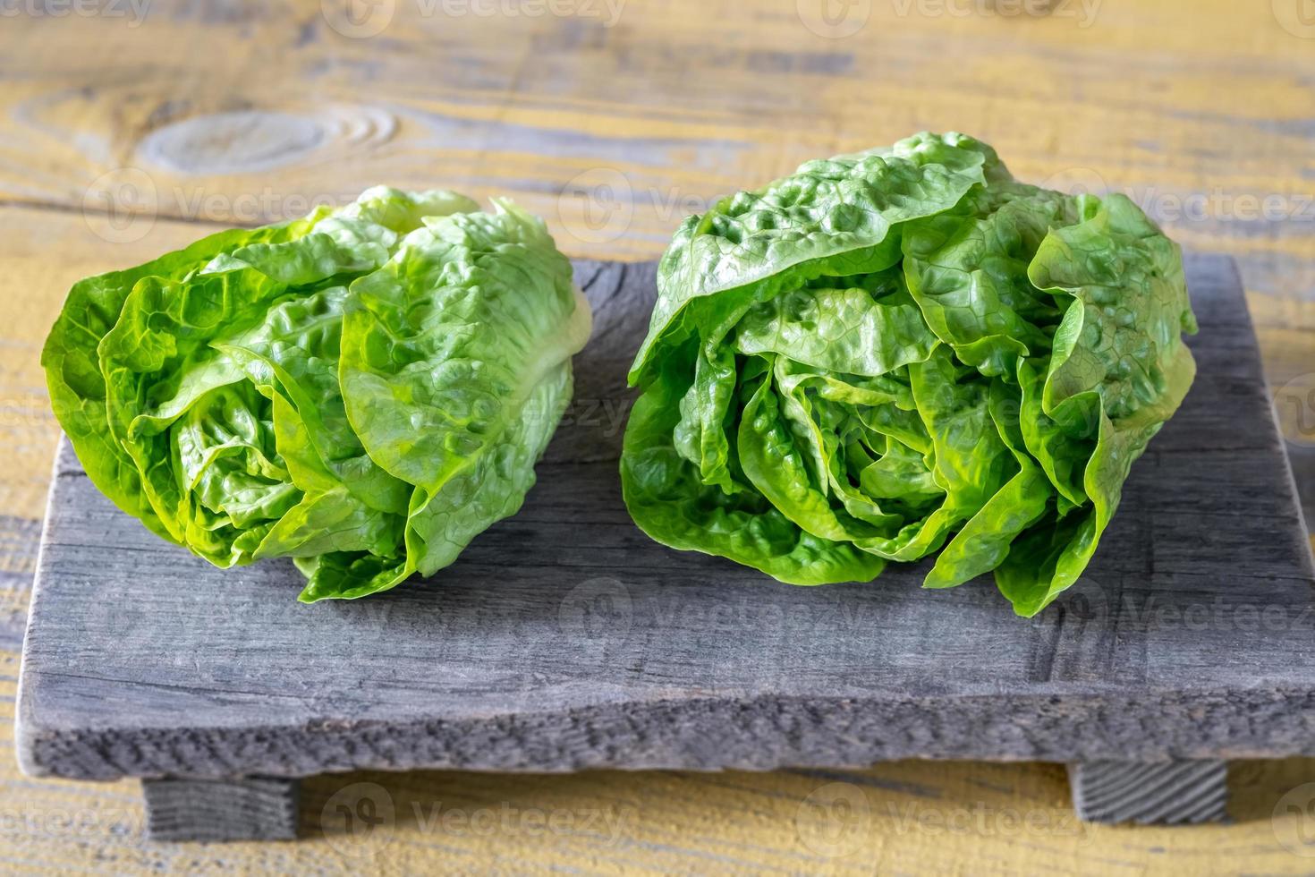 Heads of Romaine lettuce photo