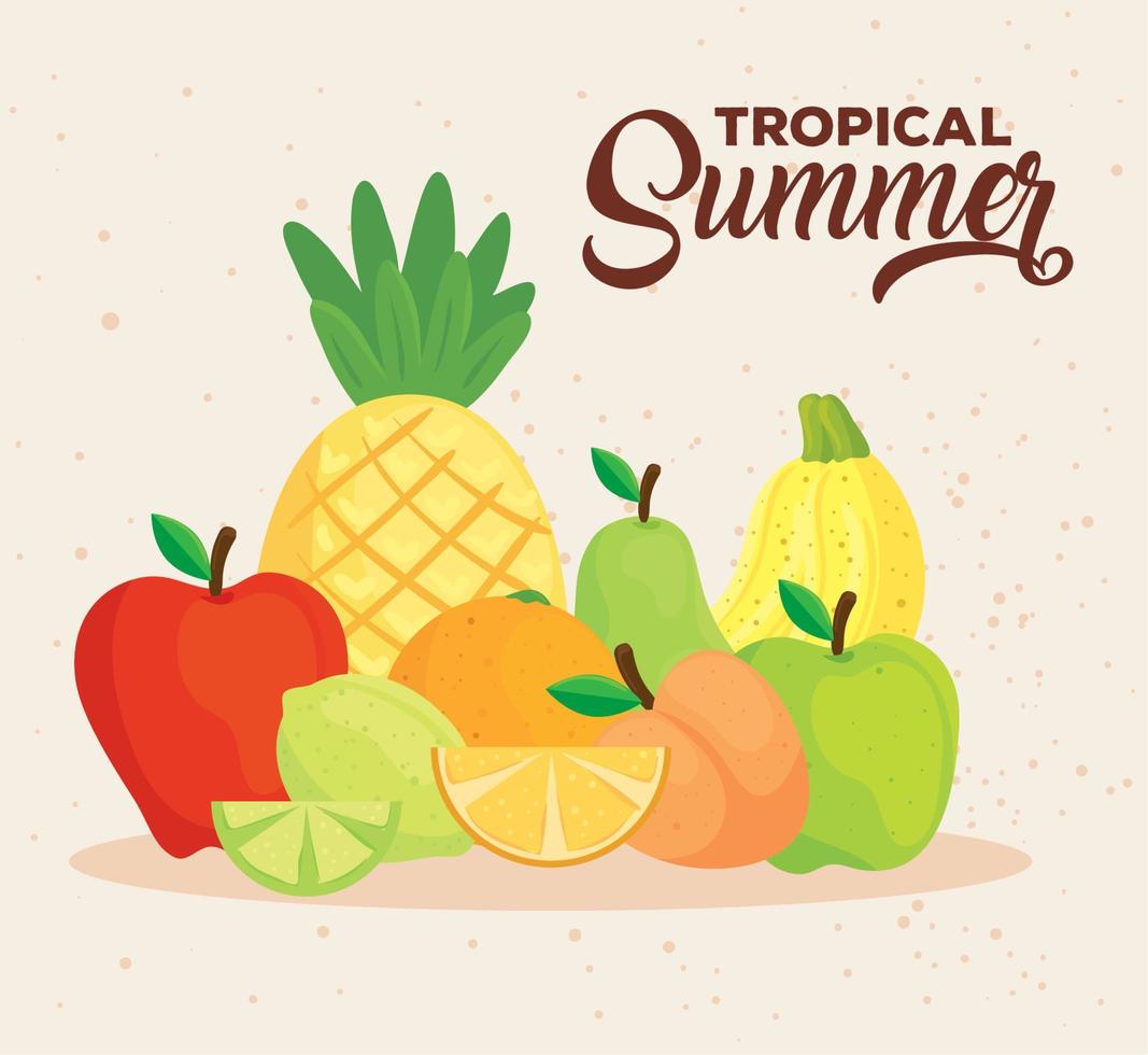 banner de verano tropical con frutas frescas vector