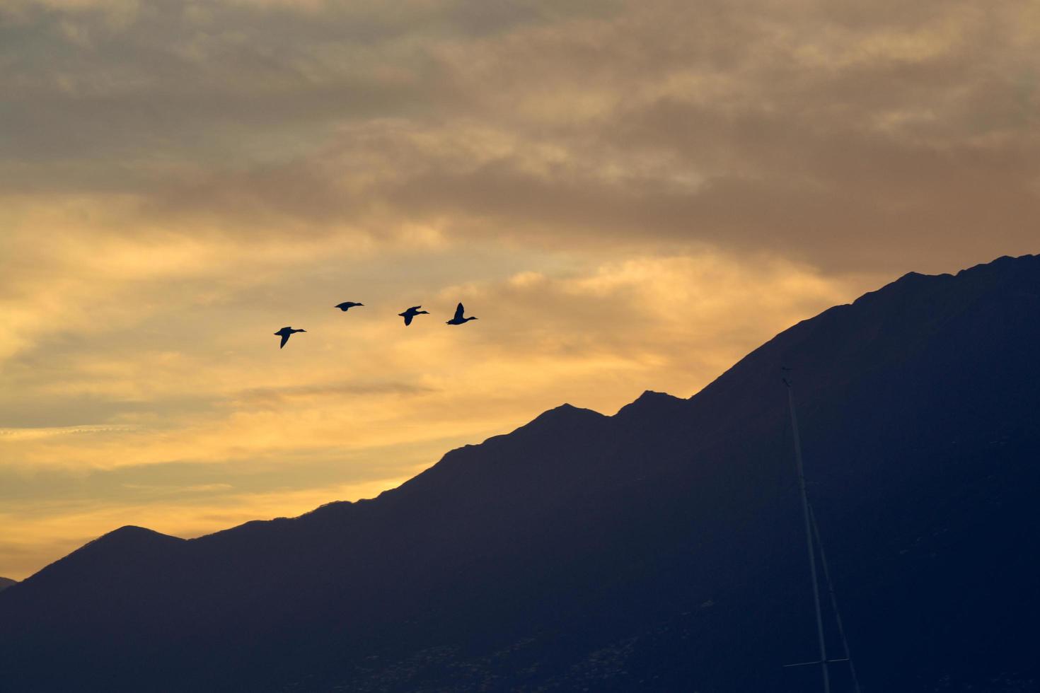 hora de volver a casa foto