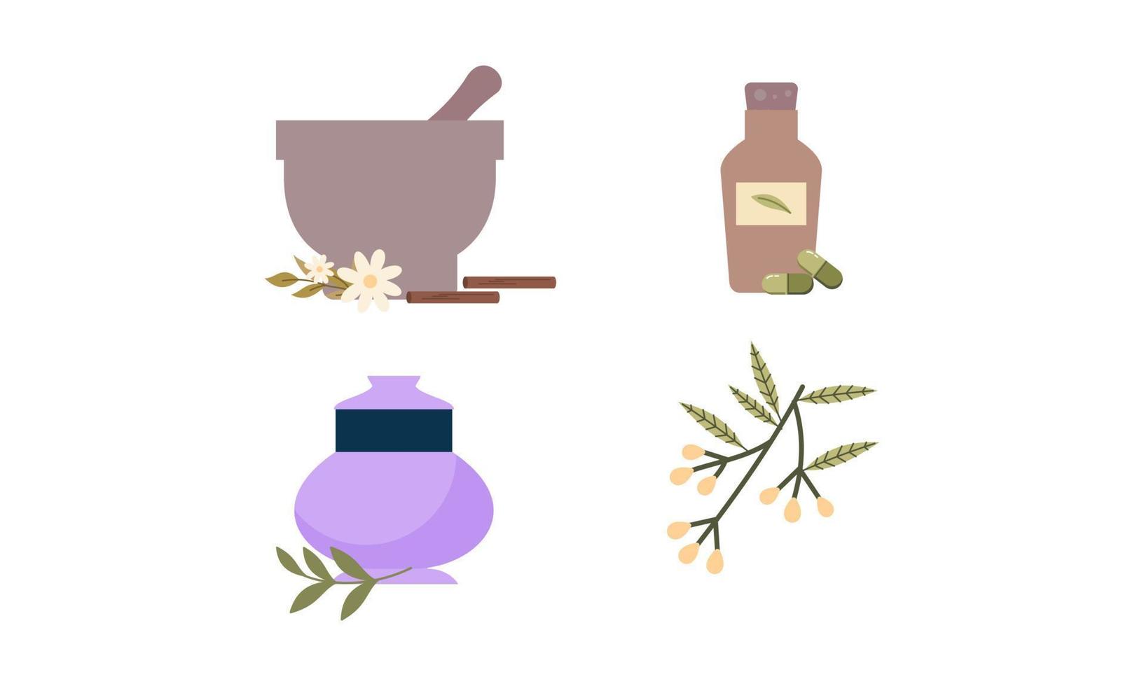 Homeopathy, aromatherapy, natural traditional medicine set. Herbs, herbal tea, homeopathic naturopathic essentials, healing plants. vector