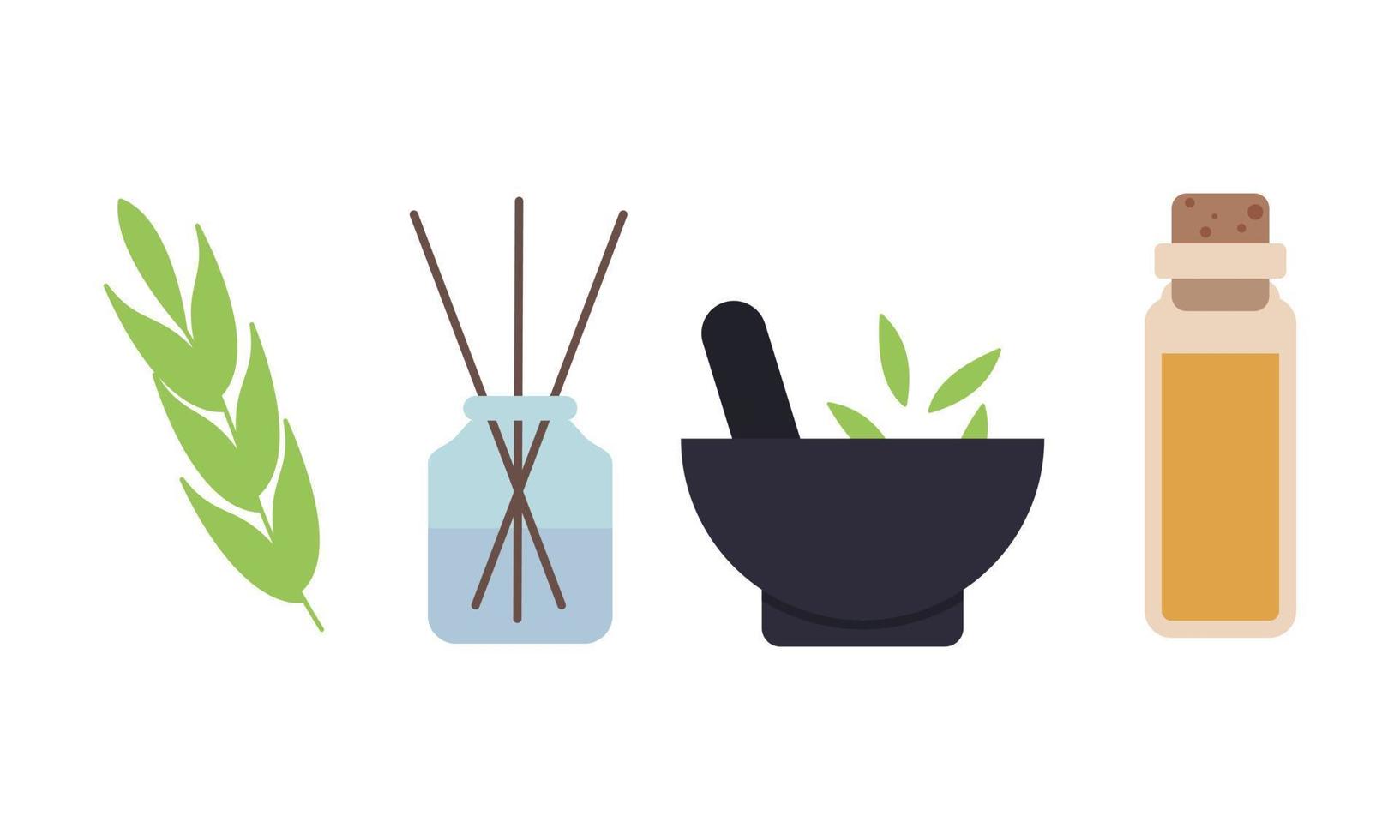 Homeopathy, aromatherapy, natural traditional medicine set. Herbs, herbal tea, homeopathic naturopathic essentials, healing plants. vector