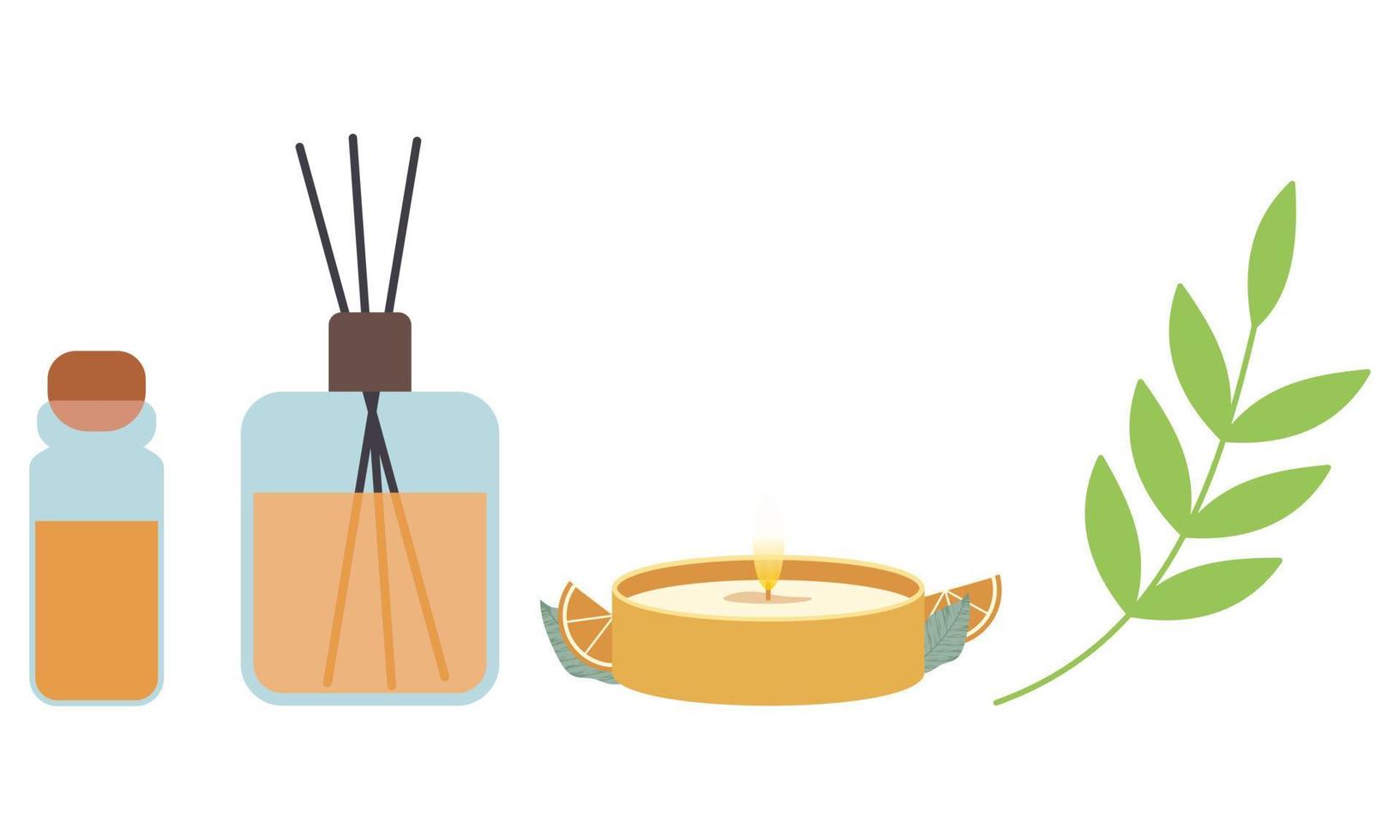 Homeopathy, aromatherapy, natural traditional medicine set. Herbs, herbal tea, homeopathic naturopathic essentials, healing plants. vector