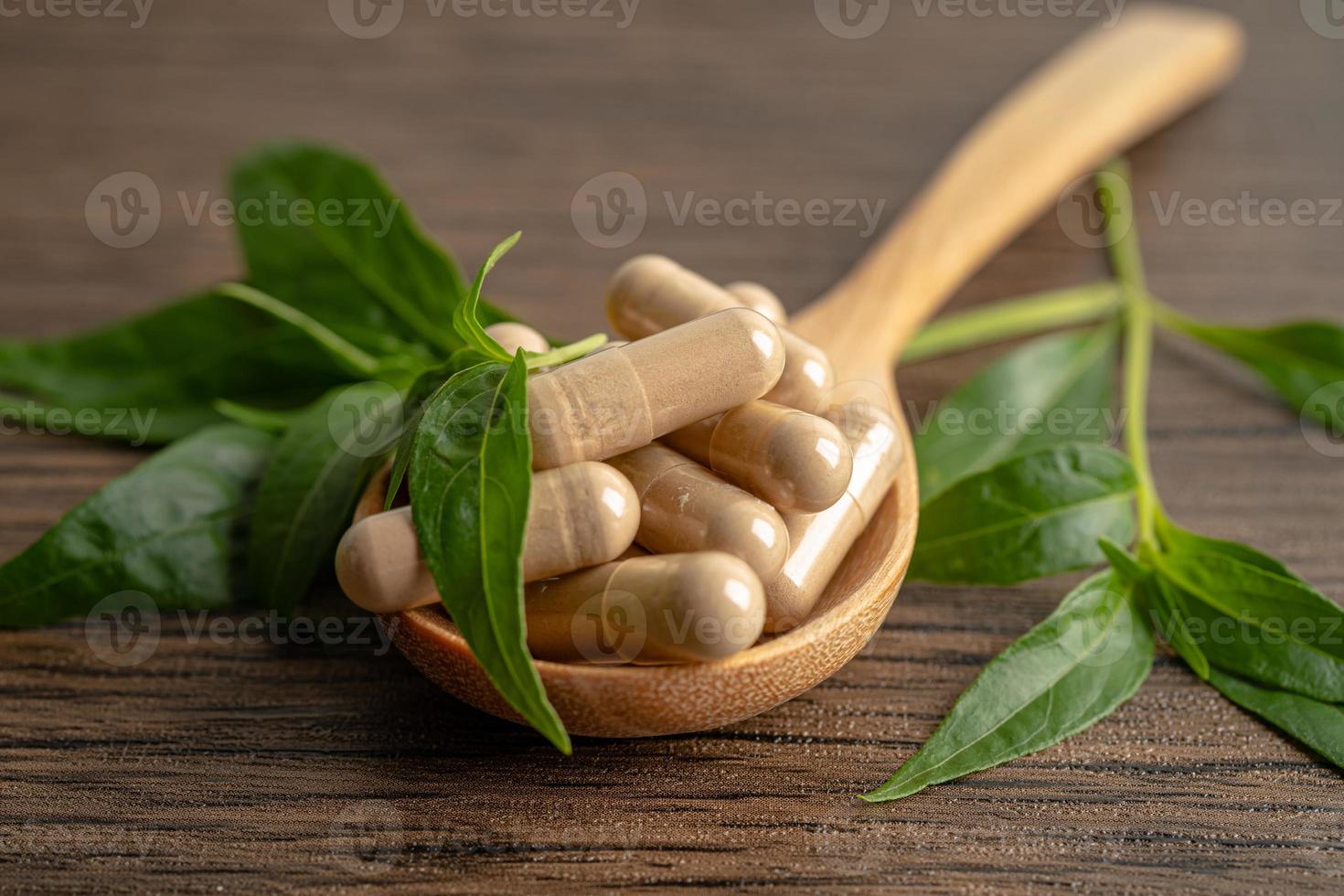 Andrographis paniculata or Kariyat leaf plant with herb capsules to treating covid19 coronavirus viral infection. photo