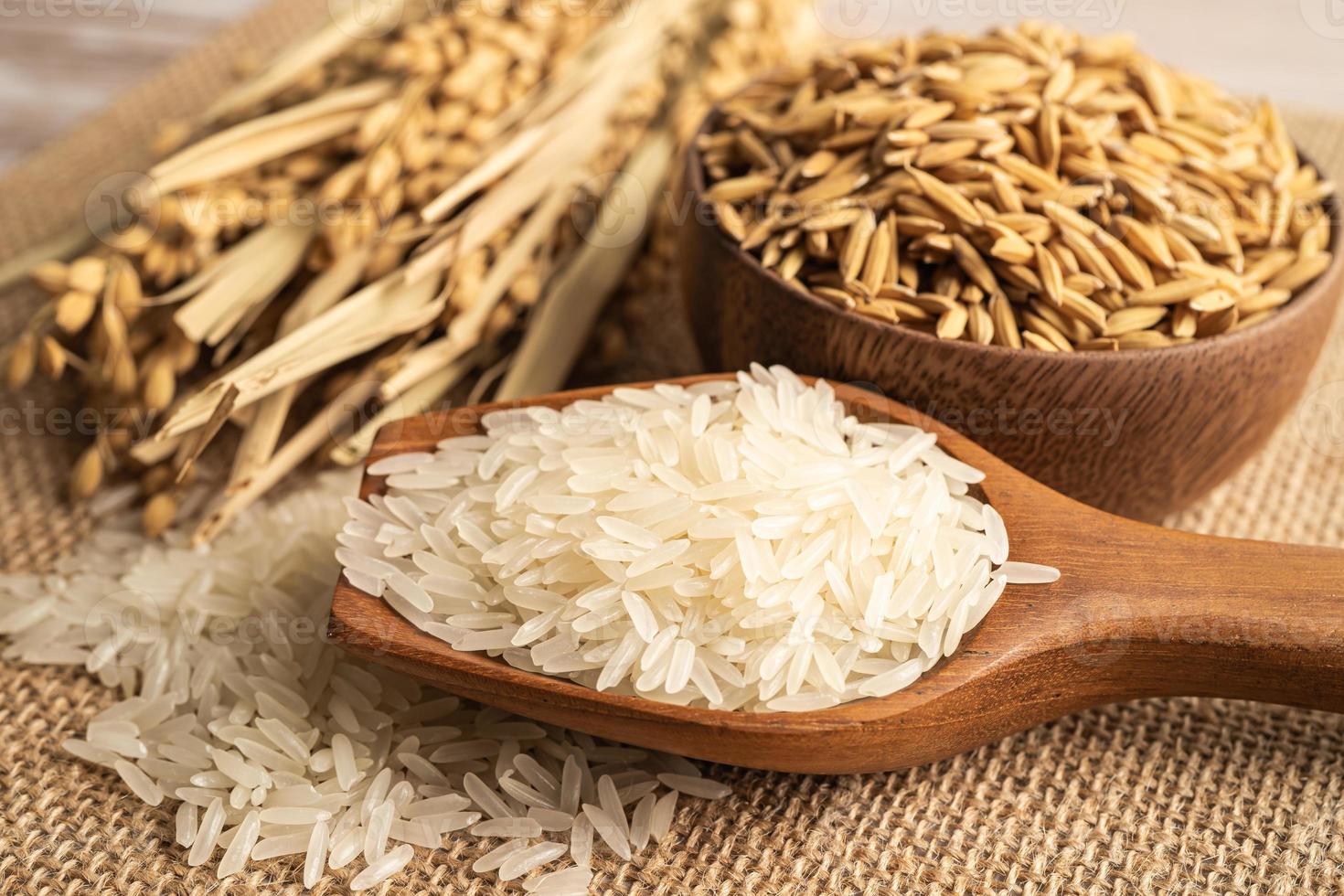 arroz blanco jazmín en tazón de madera con grano de oro de la granja agrícola. foto