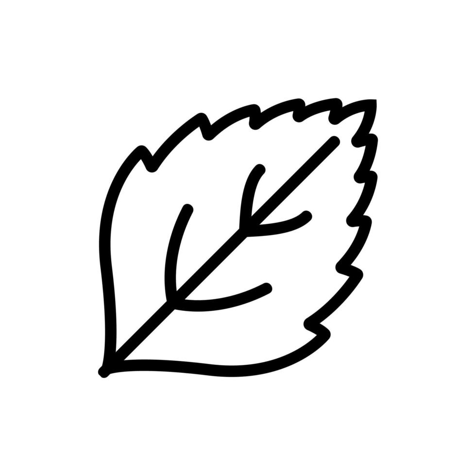 mint leaf close-up view icon vector outline illustration