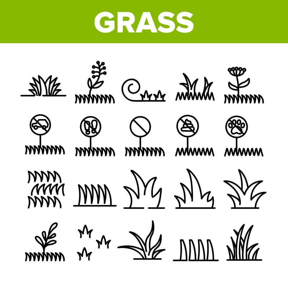 Grass Meadow Plant Collection Icons Set Vector