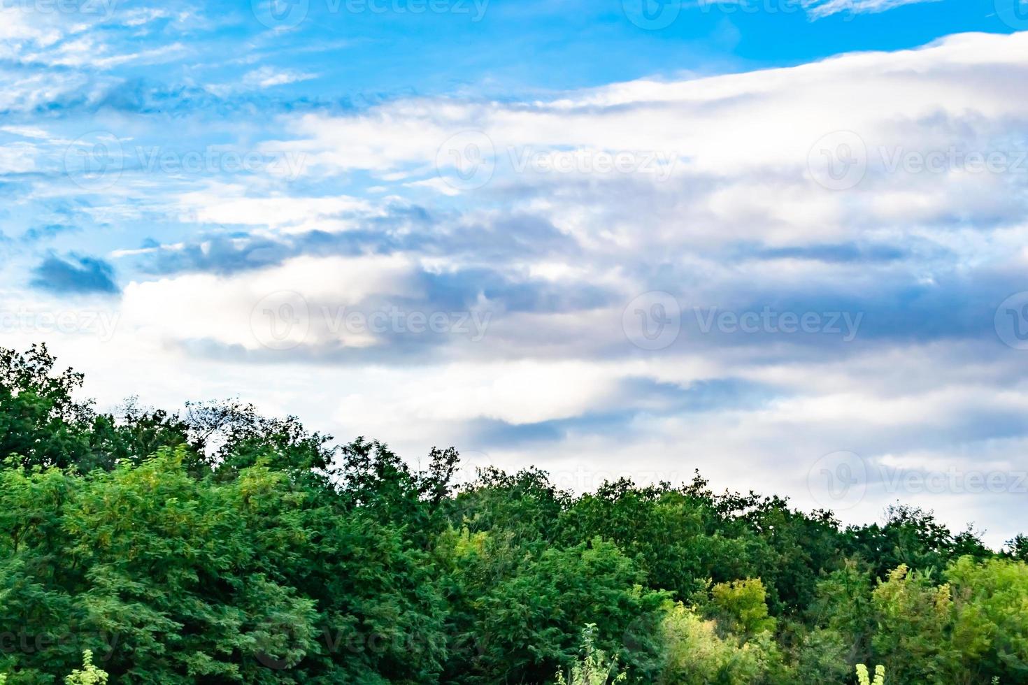 Beautiful horizon scenery in village meadow on color natural background photo