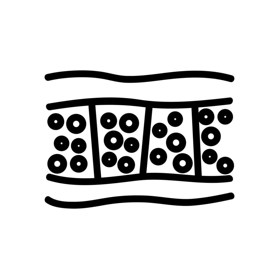 cellulite anatomical section icon vector outline illustration