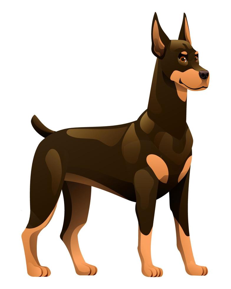 ilustración de dibujos animados de vector de perro dobermann