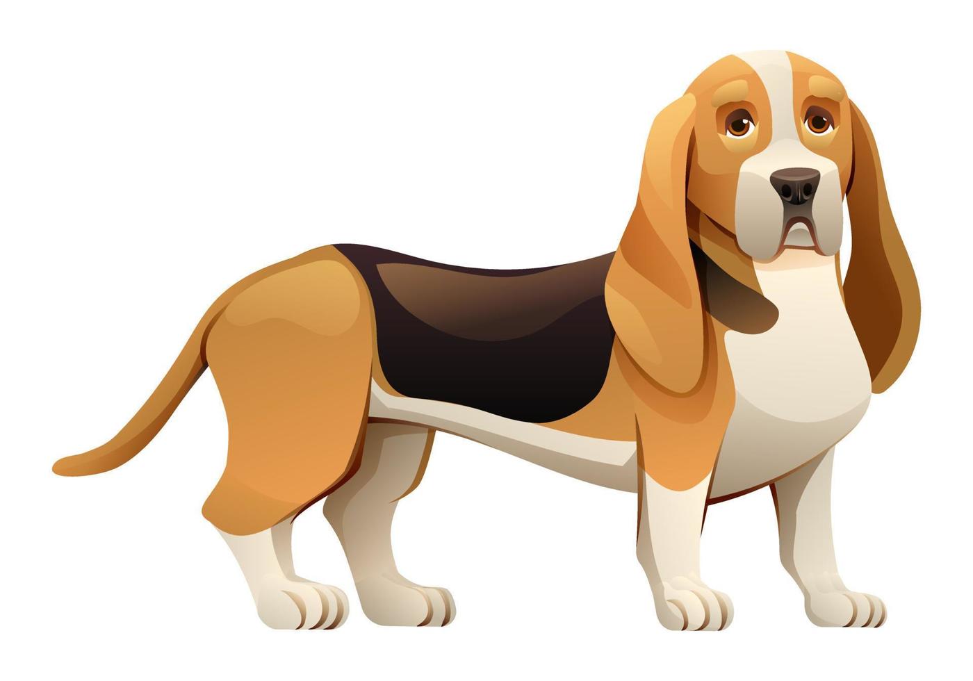 Basset hound dog vector cartoon illustration