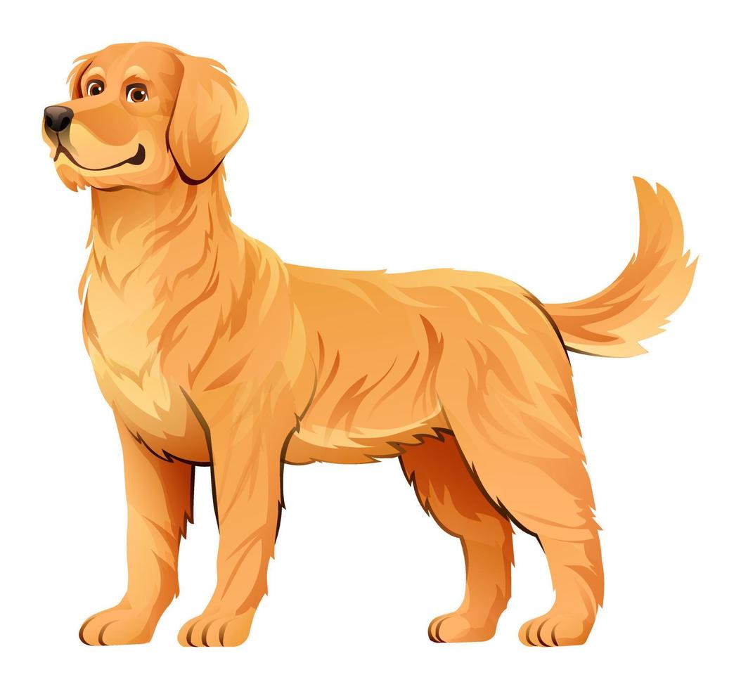 ilustración de dibujos animados de vector de perro golden retriever