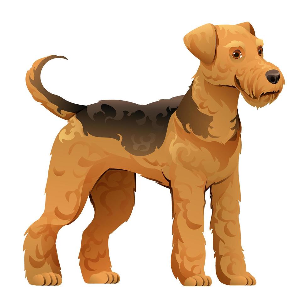 Airedale terrier dog vector cartoon illustration